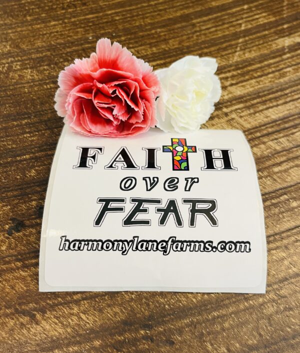 Faith over Fear Sticker