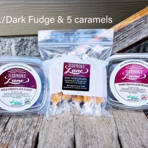 Fudge & Caramel Combo