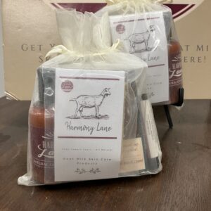 Harmony Lane Travel Set