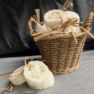 Luffa Sponge