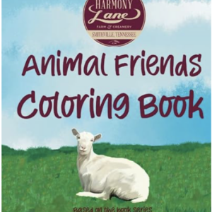 Harmony Lane Friends Coloring Book