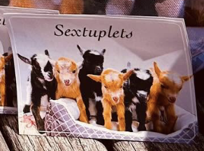 Goat Sticker
